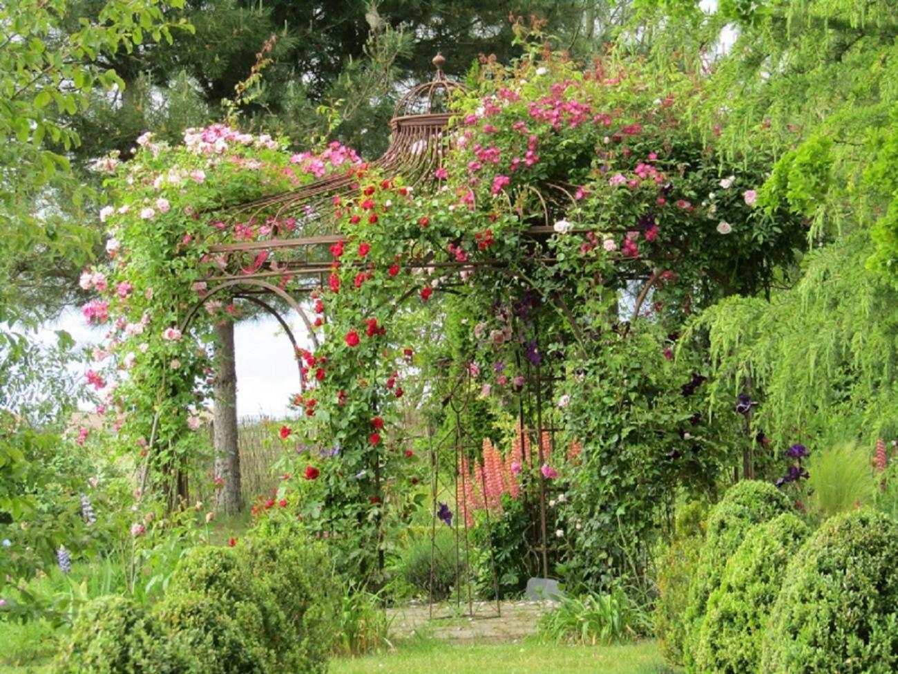 Chambre D Hotes La Barriere Channay-sur-Lathan Dış mekan fotoğraf